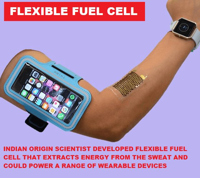01 flexible fuel cell