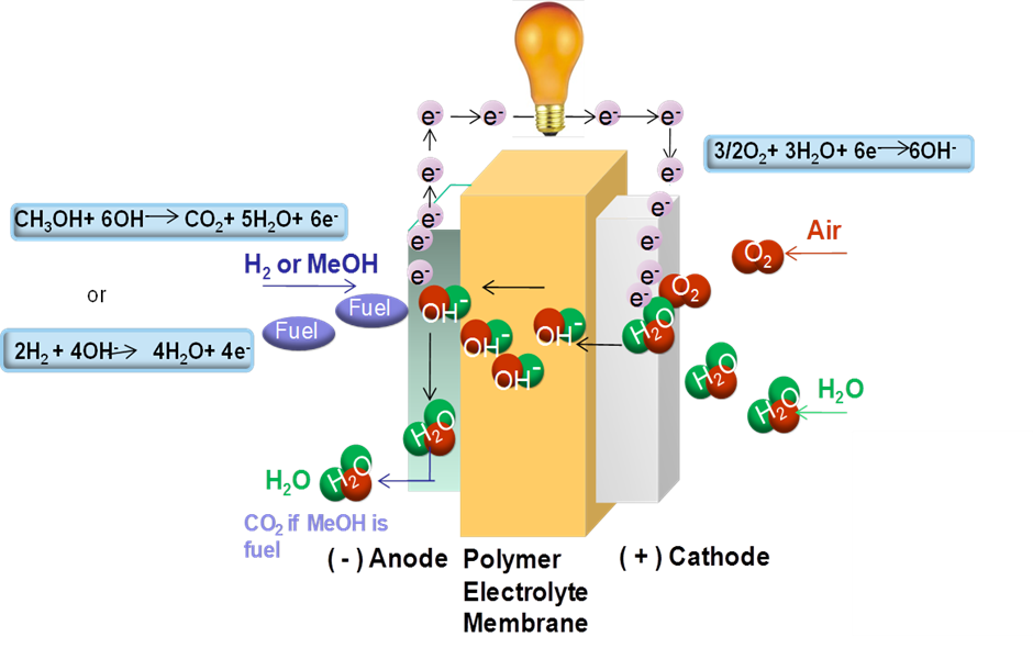 Alkaline Anion-Exchange Membrane Fuel Cells Alkaline Anion-Exchange Membrane Fuel Cells