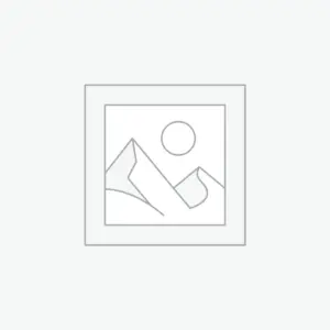 Industrial Rubber Gasket Sheet Roll – Best Oil Resistant Sealing Material for Automotive & Industrial Applications